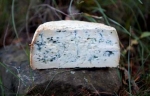 BLAU DE MUNTANYOLA (BLUE CHEESE)